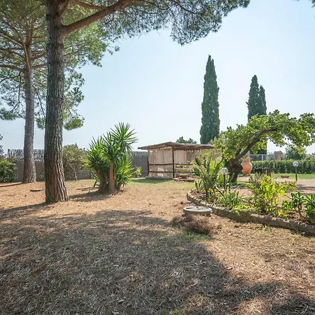 Apartment 3 Bedroom Cozy In Capalbio Scalo
